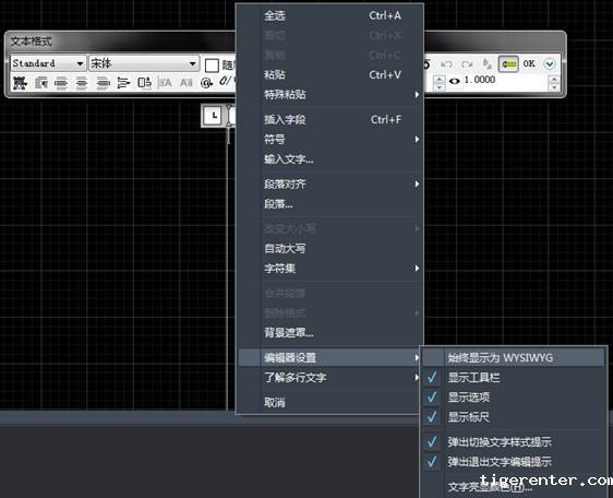 CAD多行文字编辑器中的WYSIWYG是什么意思 CAD多行文字编辑器中的WYSIWYG是什么意思